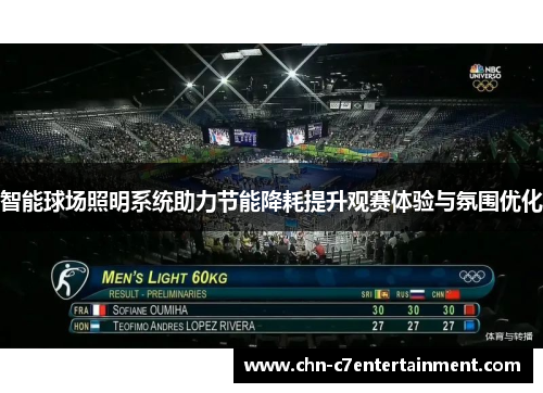 智能球场照明系统助力节能降耗提升观赛体验与氛围优化