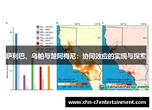萨利巴、乌帕与楚阿梅尼：协同效应的实现与探索