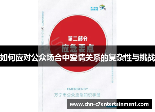 如何应对公众场合中爱情关系的复杂性与挑战