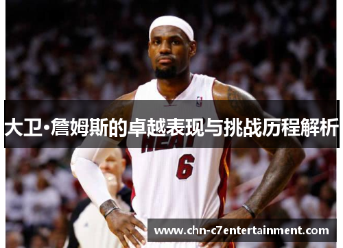 大卫·詹姆斯的卓越表现与挑战历程解析