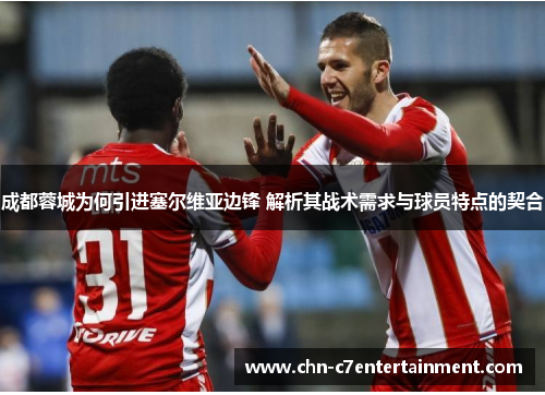 成都蓉城为何引进塞尔维亚边锋 解析其战术需求与球员特点的契合