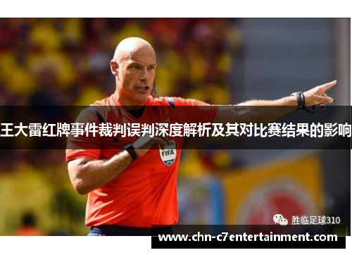 王大雷红牌事件裁判误判深度解析及其对比赛结果的影响