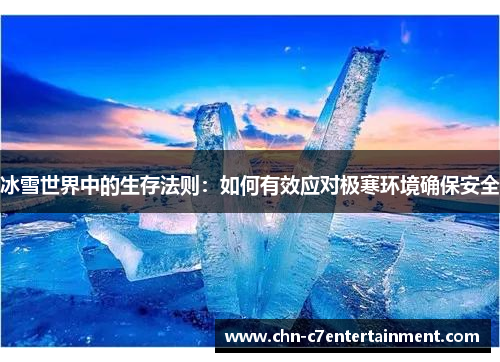 冰雪世界中的生存法则：如何有效应对极寒环境确保安全