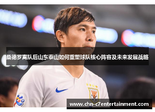 桑德罗离队后山东泰山如何重塑球队核心阵容及未来发展战略