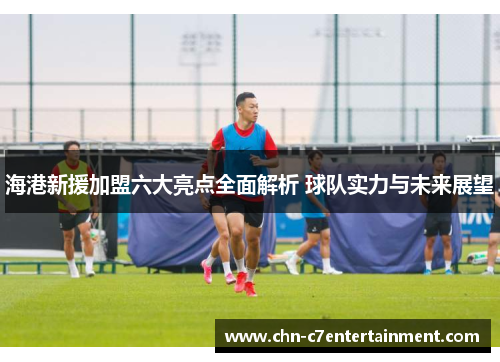 海港新援加盟六大亮点全面解析 球队实力与未来展望