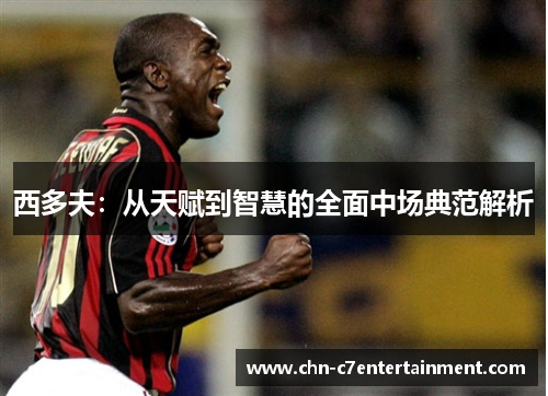 西多夫：从天赋到智慧的全面中场典范解析