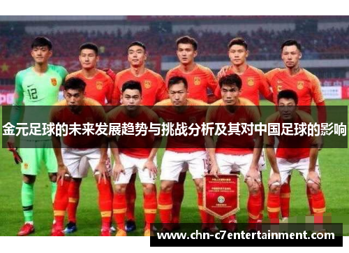 金元足球的未来发展趋势与挑战分析及其对中国足球的影响